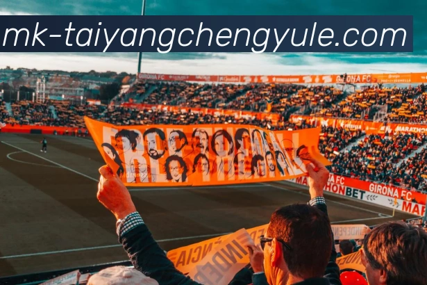 太阳城网站平台生态图