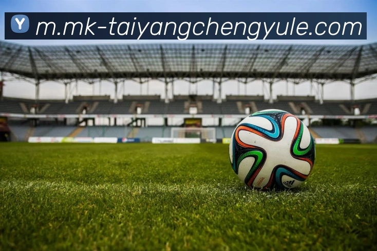 太阳城网站全站App